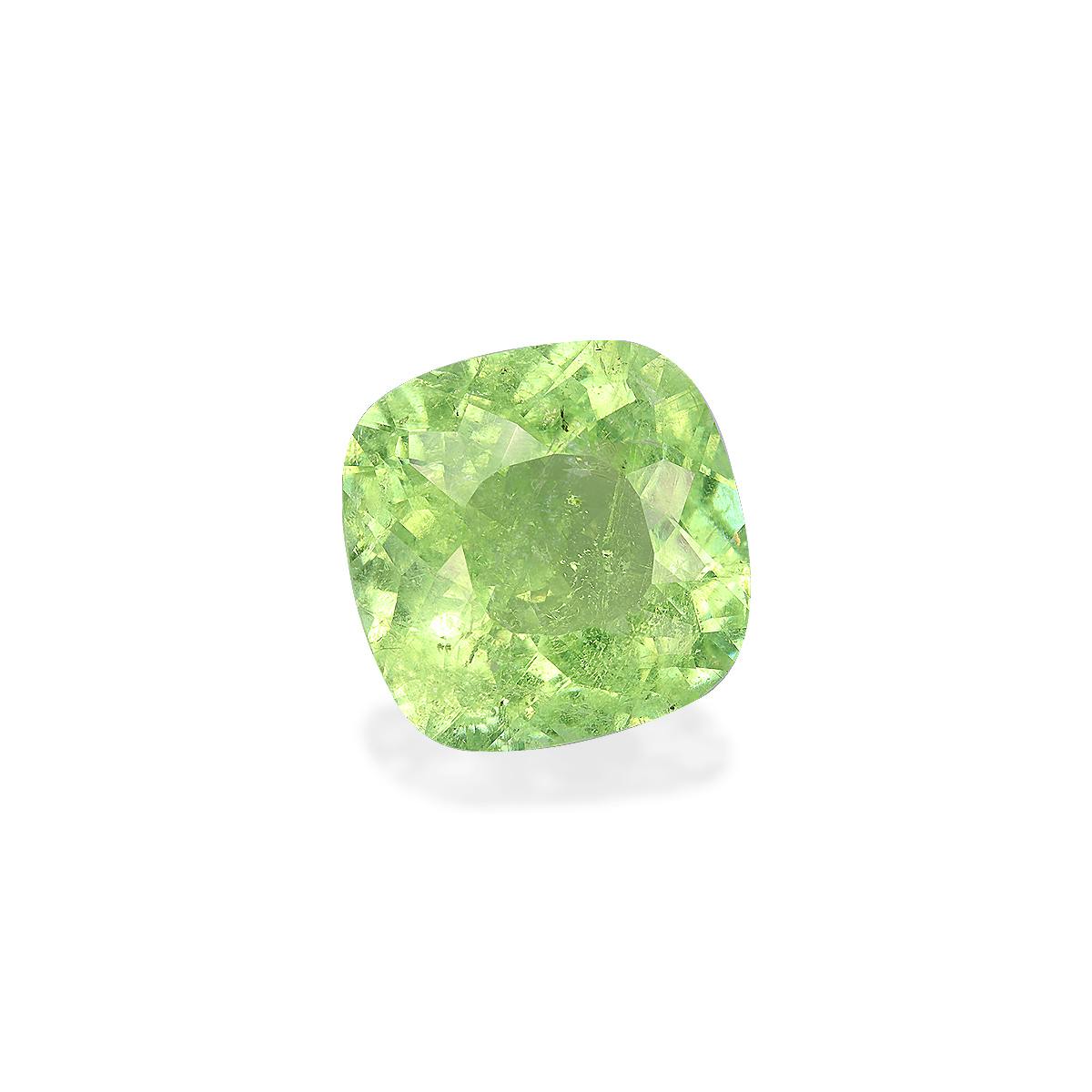Paraiba Tourmaline 13.13 ct